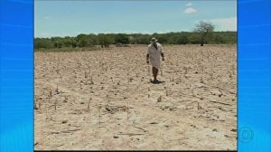 Seca tem afetado produção agrícola na Bahia