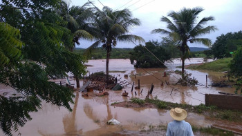 Forte chuva deixa plantio debaixo de água