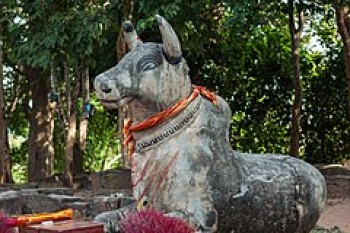 Pode-se espremer ou até triturar uma rocha: mesmo que ela pareça uma vaca.