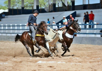 Modalidade tradicional nordestina entra no mercado regulado de jogos 